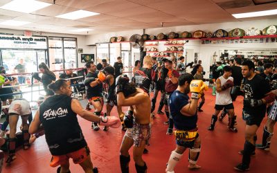 Join Us to Celebrate 22 years of Business!